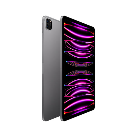 EOL iPad Pro 11 pouces, Wi-Fi, 2 To - Gris sidéral (4e génération)