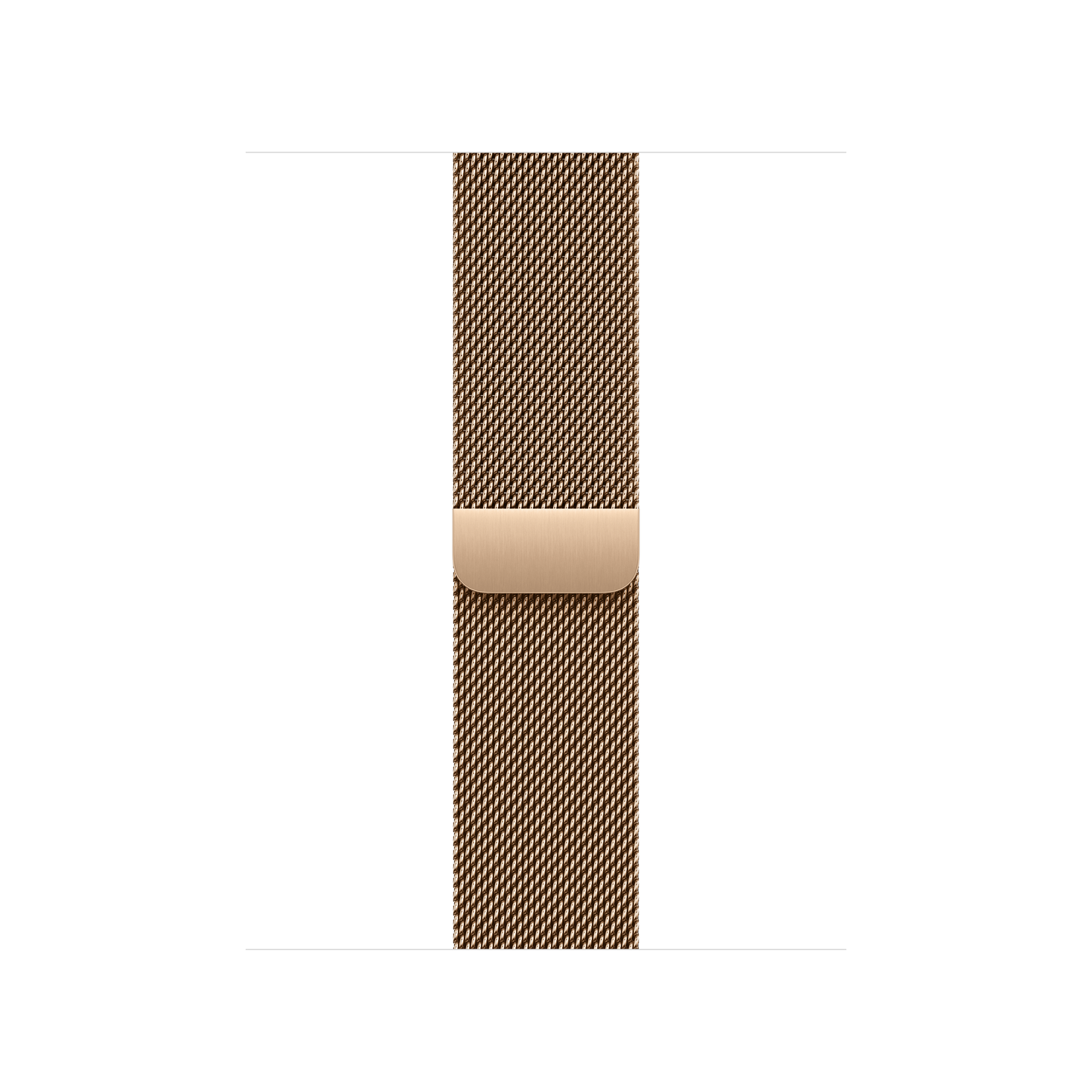 Goudkleurig Milanees bandje (40 mm)