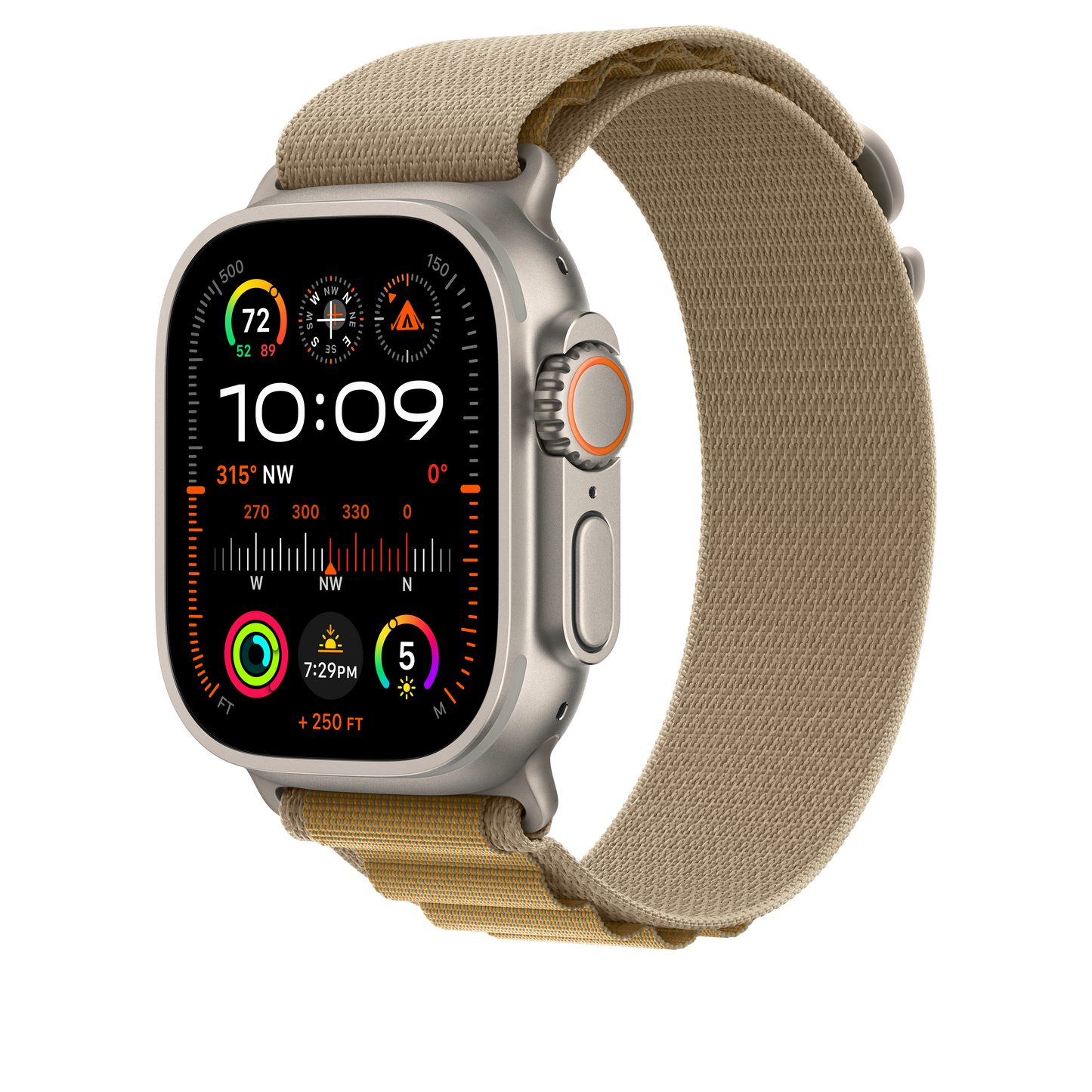 EOL Alpine-bandje - Sahara-beige (49 mm) - L - Naturel titanium