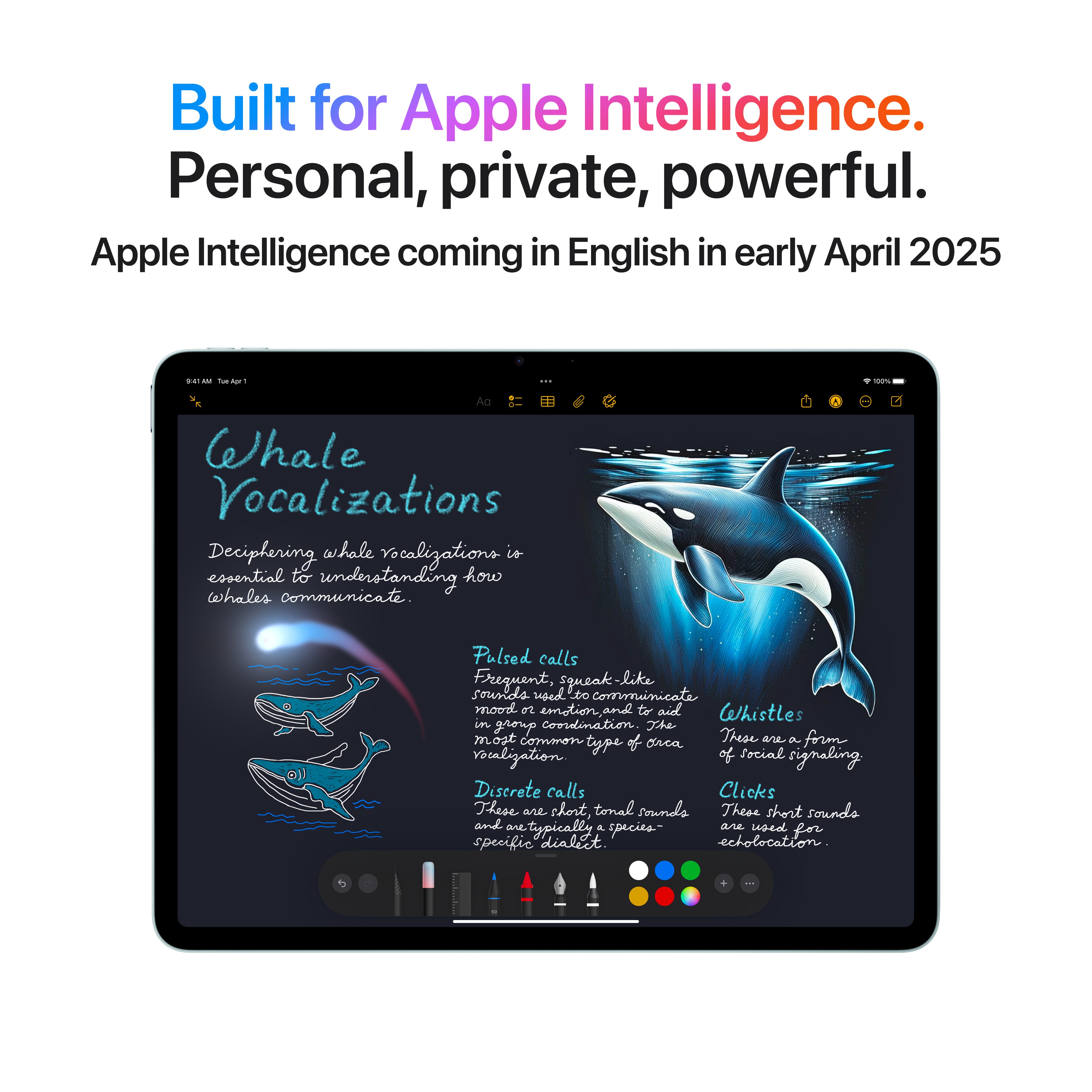 EOL 11-inch iPad Air Wi-Fi 256 GB - Blauw (M3) – Lab9