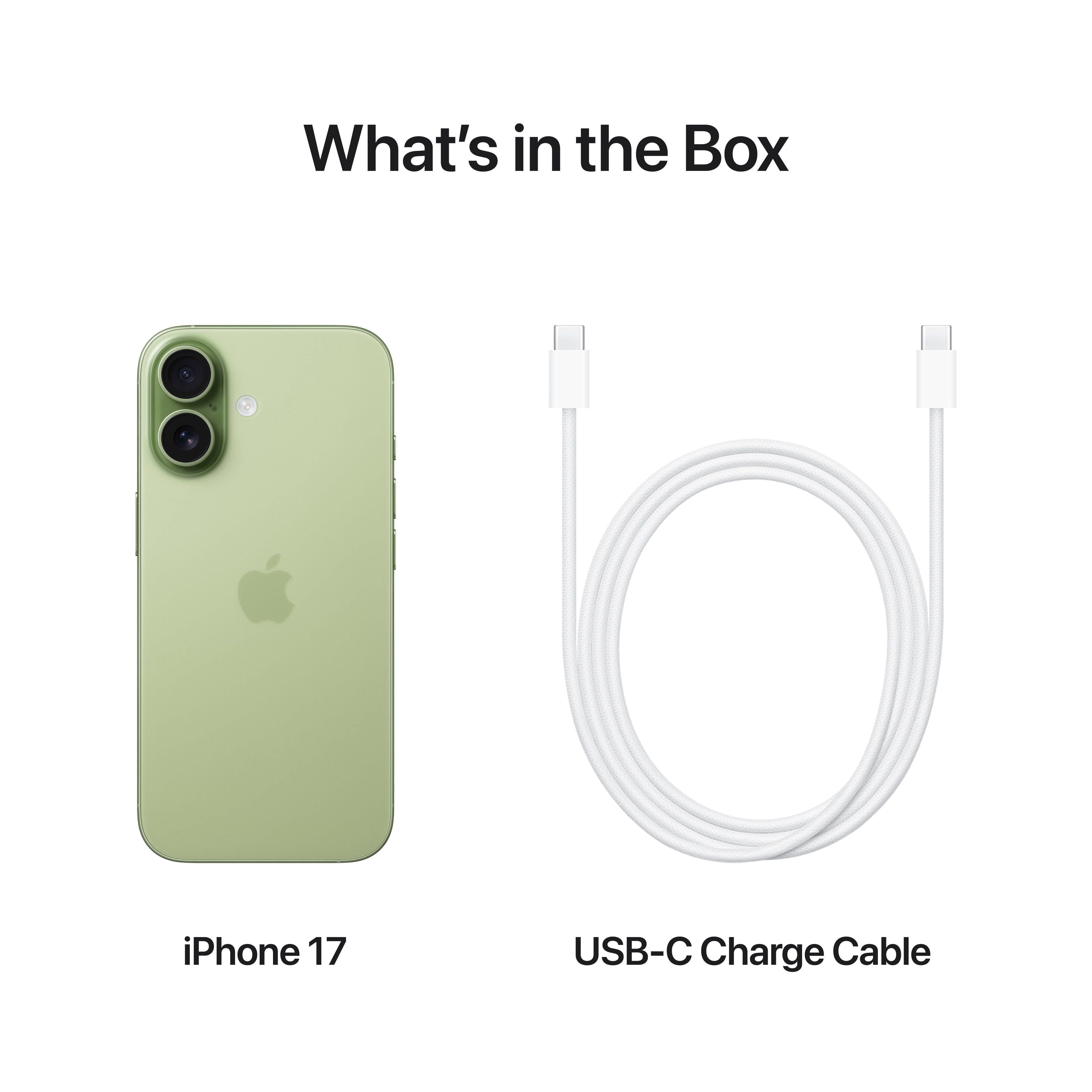 iPhone 17 256 GB Saliegroen – Lab9