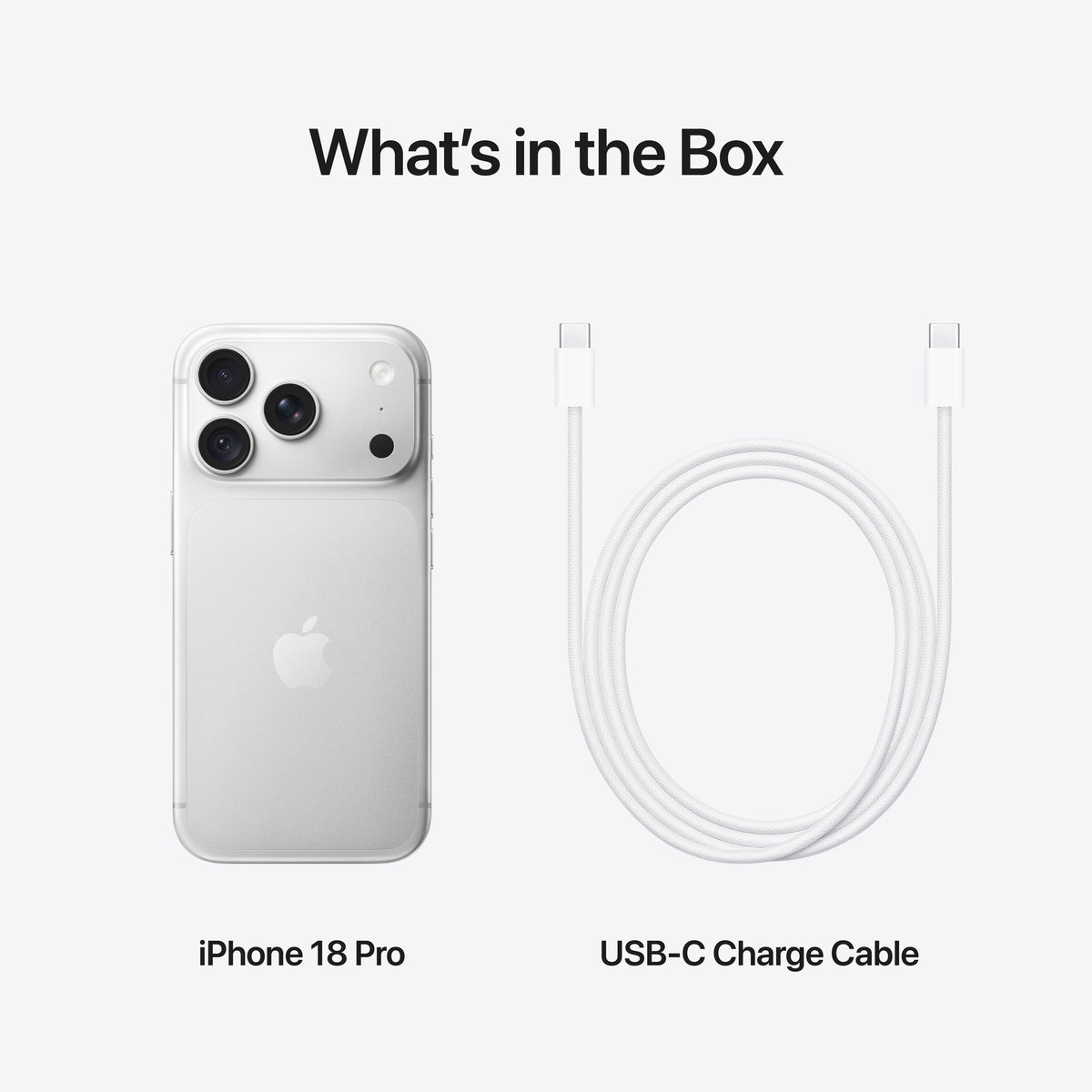iPhone 18 Pro 2 TB Zilver