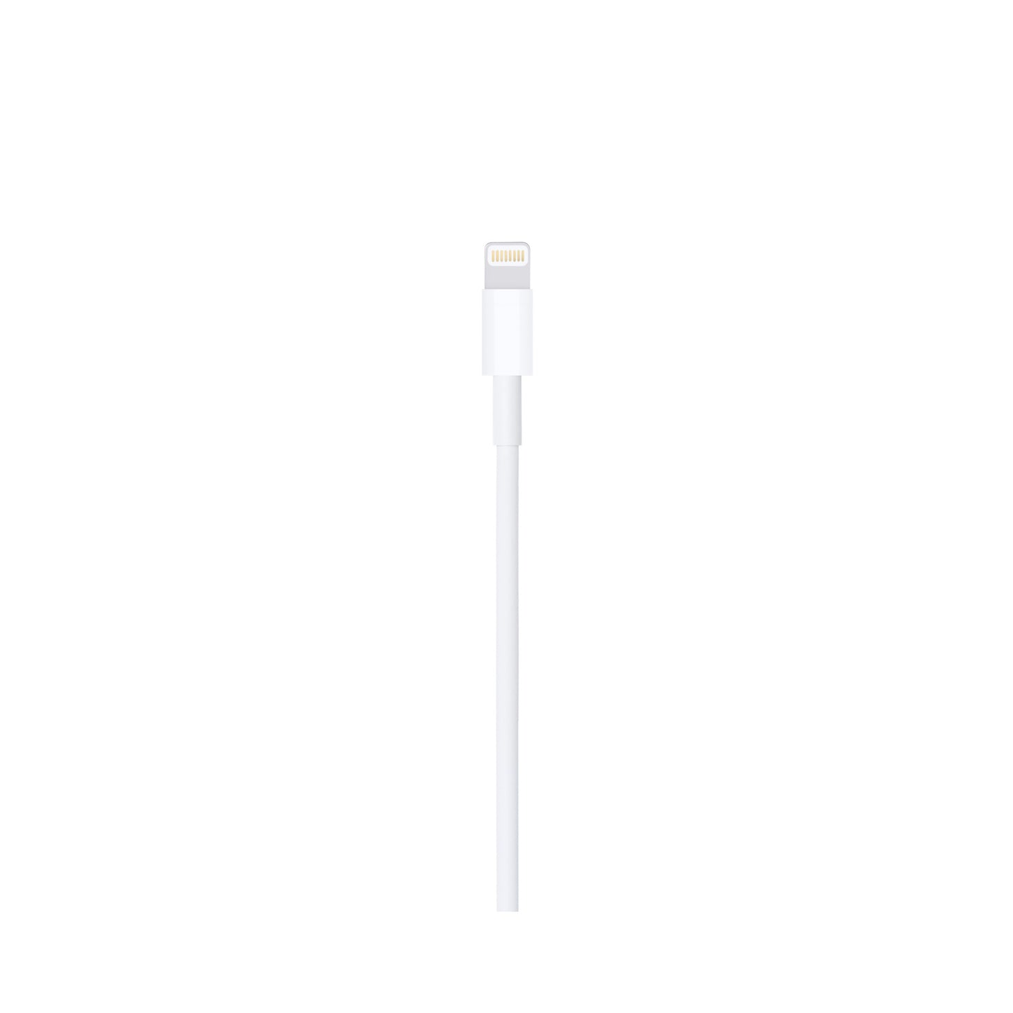 Câble Lightning vers USB (0,5 m)