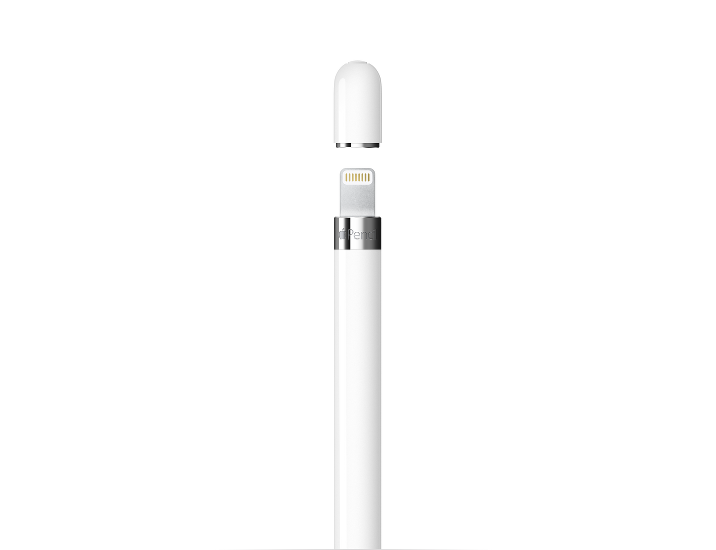 Apple Pencil (1re génération) - Comprend Adaptateur USB-C vers Apple Pencil