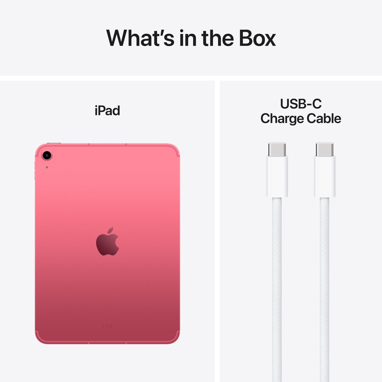 iPad Wi-Fi + Cellular 256 Go - Rose (A16)
