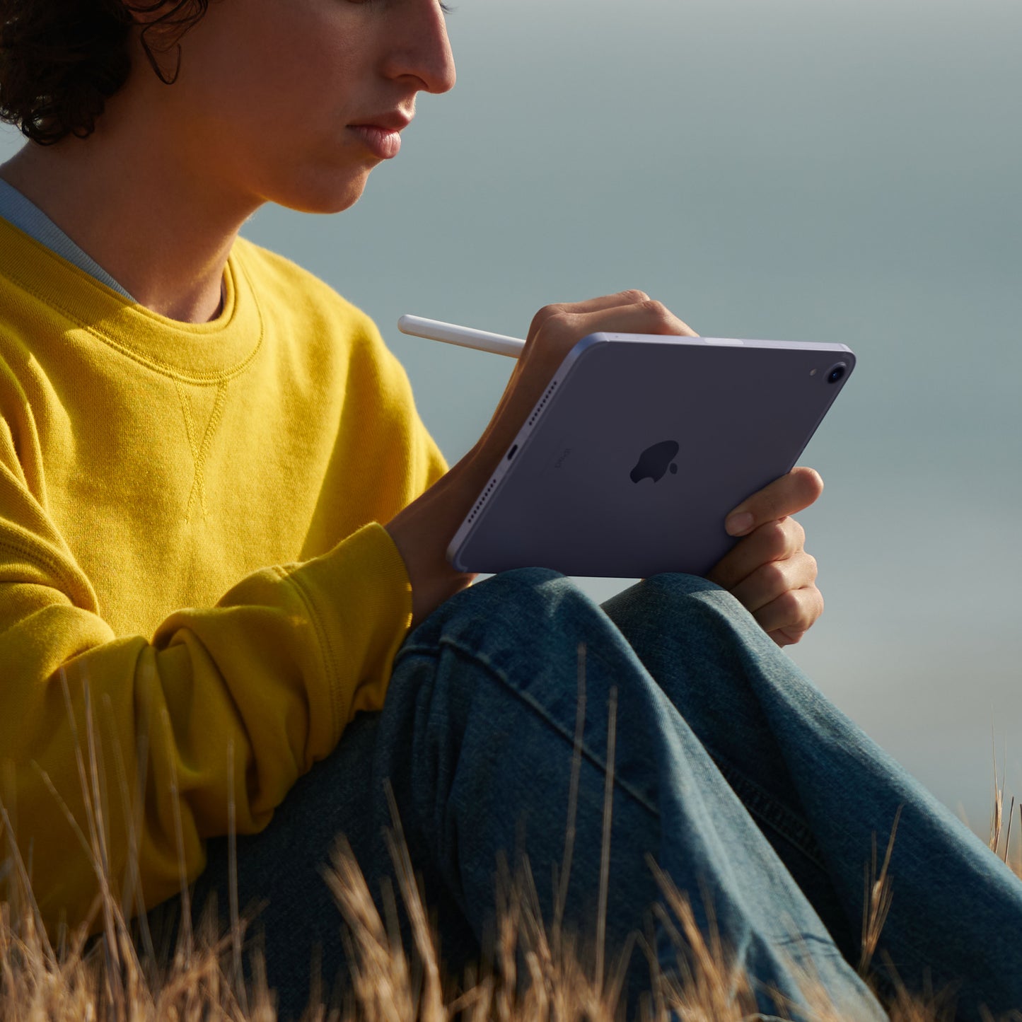2021 8,3-inch iPad mini, Wi-Fi + Cellular, 64 GB, paars (6e generatie)