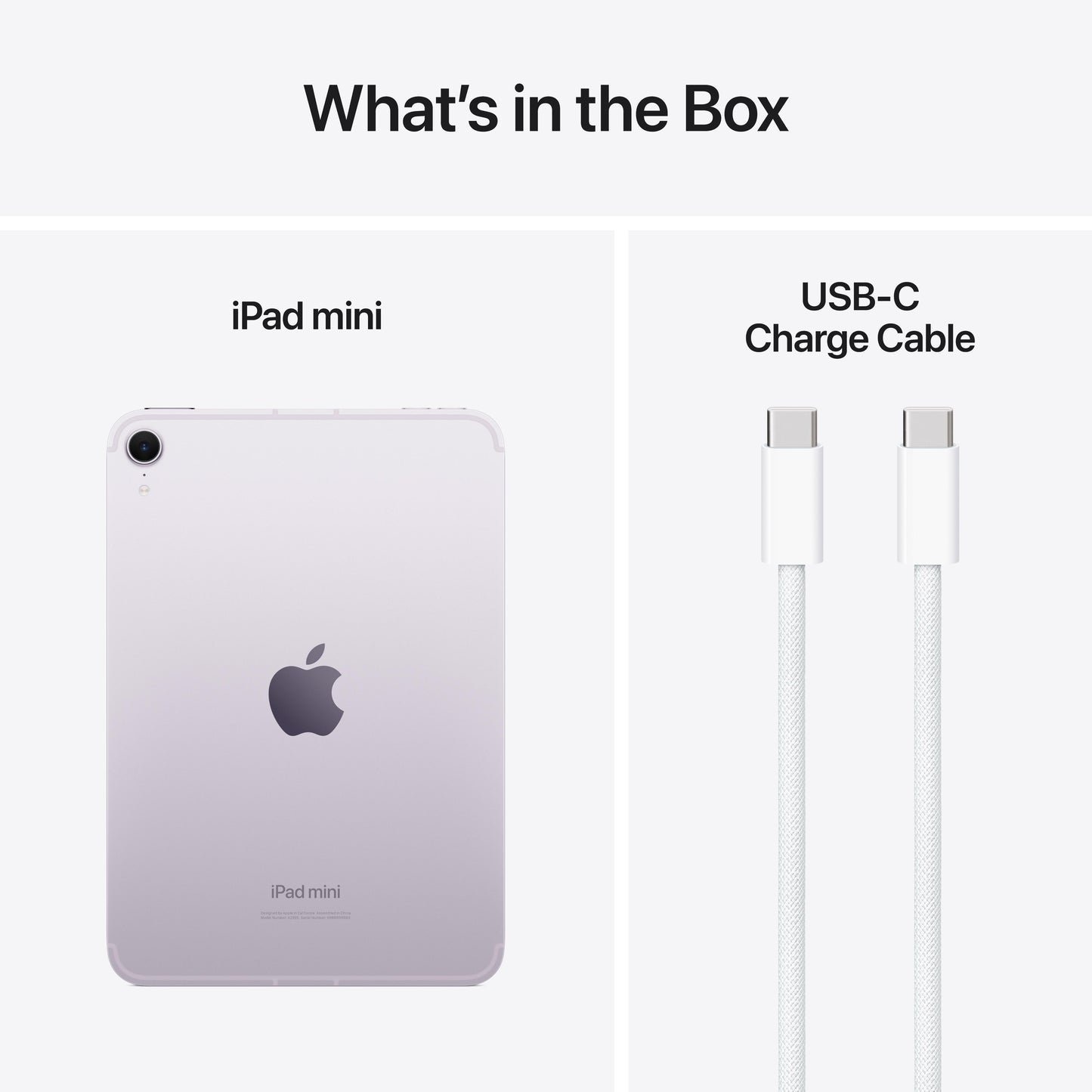 iPad mini Wi-Fi + Cellular 256 Go - Mauve (A17 Pro)