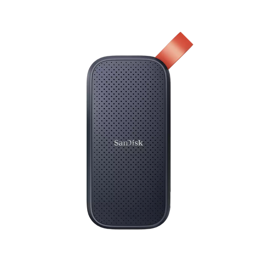 Sandisk Portable SSD - 1 TB - USB-C - Gris